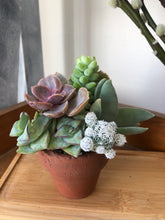 Load image into Gallery viewer, Mini Succulent Bouquet
