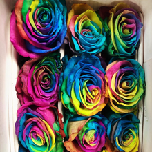 Load image into Gallery viewer, Roses in a Vase
